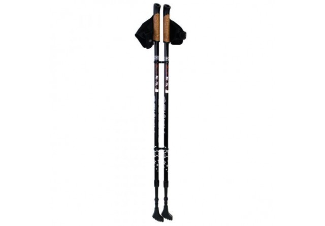 Basic Walker палки для скандинавской ходьбы (двухсекционные) GESS-919