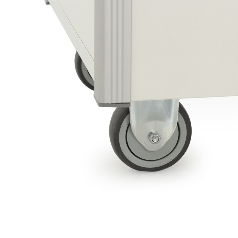 Шкаф для лабораторной посуды 02-ШЛ-1-1