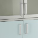 Шкаф для лабораторной посуды 02-ШЛ-1-1