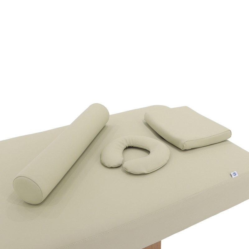 Массажный стол электричеcкий Med-Mos ММКМ-2 (КО-160.1Д) с подогревом ложа (Р)