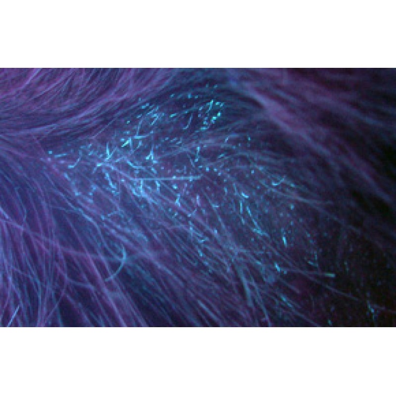 Лампа Med-Mos Вуда САПФИР